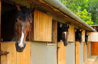 free Twiston stable construction quotes